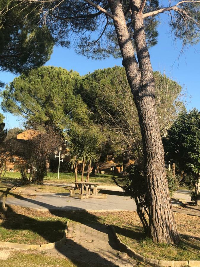 Appartement Les Hameaux Arles Luaran gambar